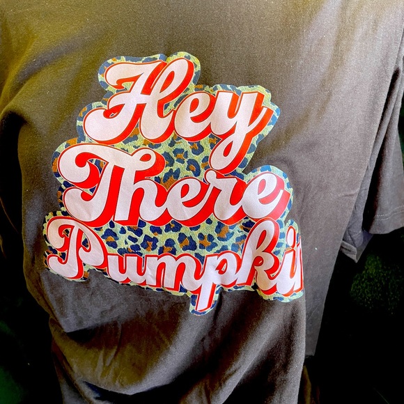 NEW.  Hey there pumpkin tshirt - Picture 1 of 4